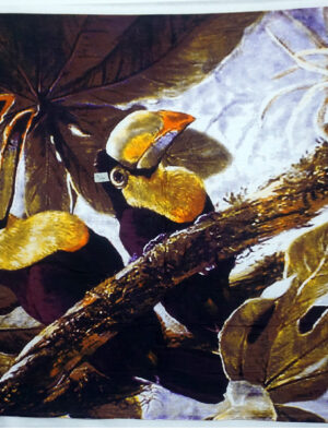 Toucan Sundress Pattern