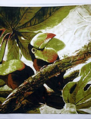 Toucan Sundress for Men